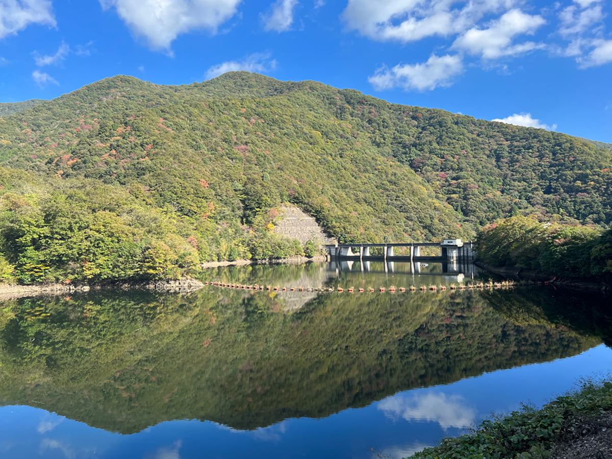 田岡旅館 ギャラリー