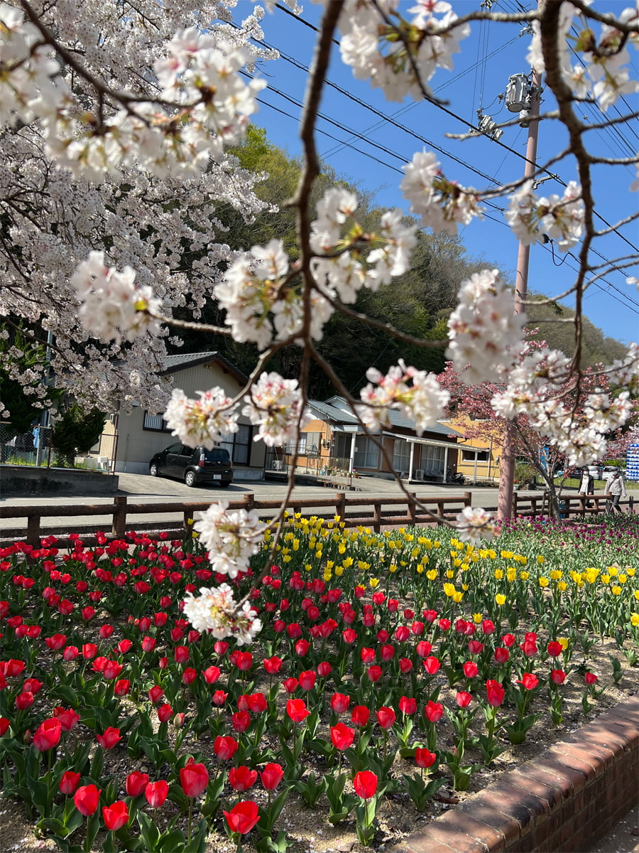 田岡旅館 ギャラリー